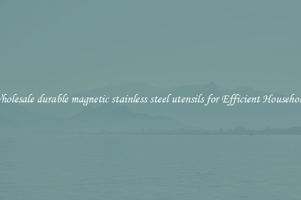 Wholesale durable magnetic stainless steel utensils for Efficient Households