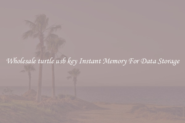 Wholesale turtle usb key Instant Memory For Data Storage