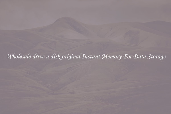 Wholesale drive u disk original Instant Memory For Data Storage