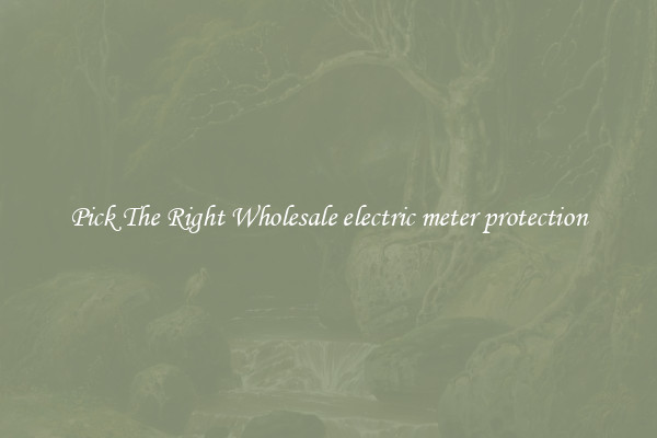 Pick The Right Wholesale electric meter protection