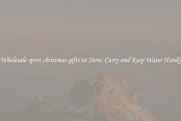 Wholesale sport christmas gifts to Store, Carry and Keep Water Handy