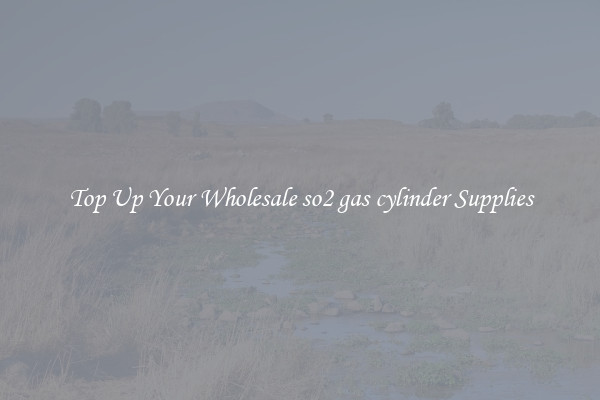 Top Up Your Wholesale so2 gas cylinder Supplies