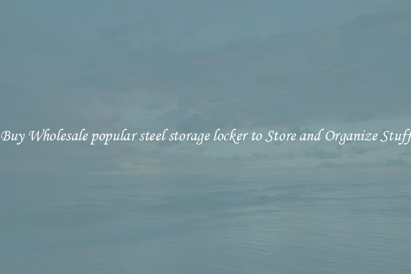 Buy Wholesale popular steel storage locker to Store and Organize Stuff