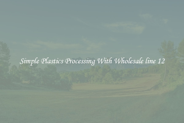Simple Plastics Processing With Wholesale line 12