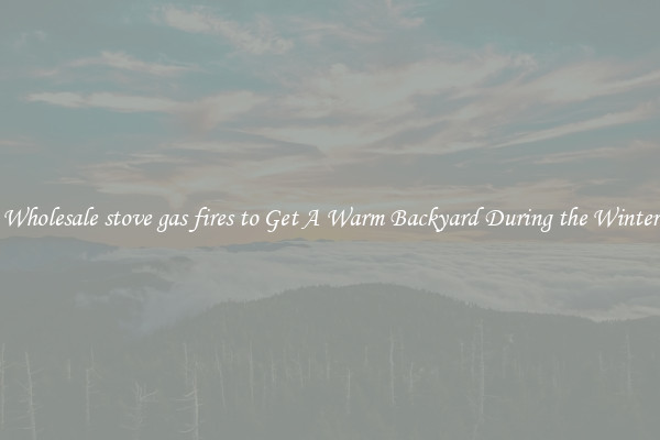 Wholesale stove gas fires to Get A Warm Backyard During the Winter