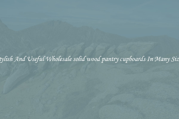 Stylish And Useful Wholesale solid wood pantry cupboards In Many Sizes