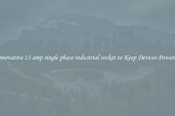 Innovative 13 amp single phase industrial socket to Keep Devices Powered