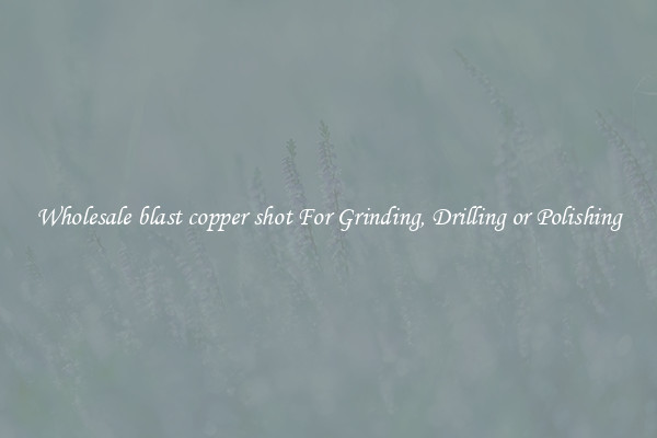 Wholesale blast copper shot For Grinding, Drilling or Polishing