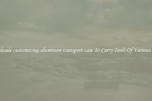 Wholesale customizing aluminum transport case To Carry Tools Of Various Sizes