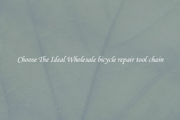 Choose The Ideal Wholesale bicycle repair tool chain