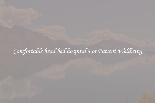 Comfortable head bed hospital For Patient Wellbeing