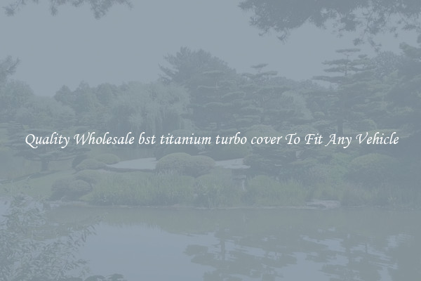 Quality Wholesale bst titanium turbo cover To Fit Any Vehicle