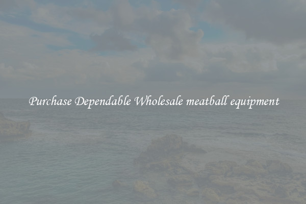 Purchase Dependable Wholesale meatball equipment