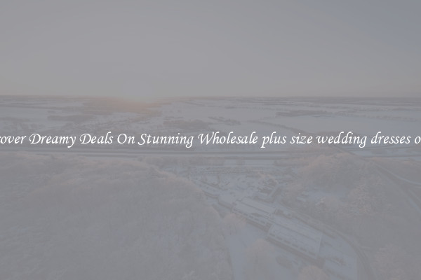 Discover Dreamy Deals On Stunning Wholesale plus size wedding dresses online