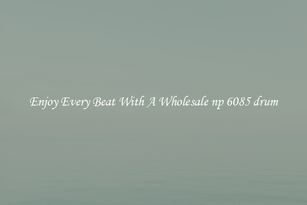 Enjoy Every Beat With A Wholesale np 6085 drum