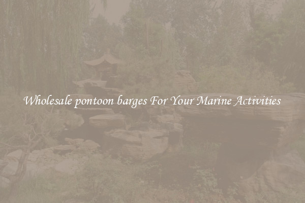 Wholesale pontoon barges For Your Marine Activities 