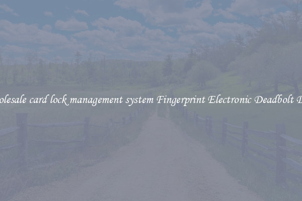 Wholesale card lock management system Fingerprint Electronic Deadbolt Door 