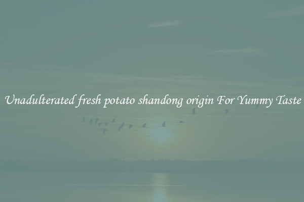 Unadulterated fresh potato shandong origin For Yummy Taste